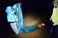 изучение миног на территории Национального парка «Смоленское Поозерье» - фото - 4