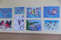 выставка детских творческих работ «Зимующие птицы нашего края» - фото - 8