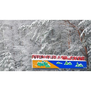Зимняя экскурсия «На встречу с лесными великанами» - фото - 25