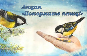 стартовала Всероссийская акция "Покормите птиц!" - фото - 4