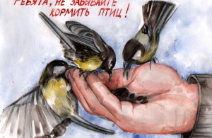 всероссийская акция «Покормите птиц» стартует в национальном парке «Смоленское Поозерье» - фото - 1