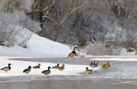 национальный парк «Смоленское Поозерье» отмечает Всемирный день водно-болотных угодий - фото - 6