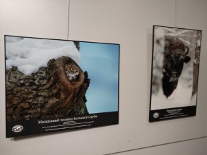img_20190124_163408