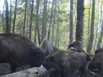 06-06-2023-rabota-fo0