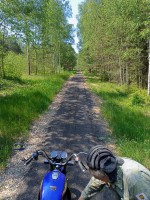 08-06-2023-blagoustrojstv