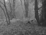 09210039-koshka-ushla-0-0
