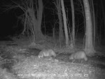 13-imag1677-enoty-0-00007