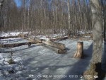 14-imag0005-ens-0-000361-