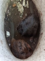 20230610_093259