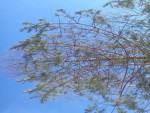 20240219_112735-gluh1