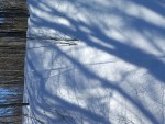 20240219_120341-vy-20