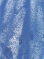 20240219_120439-vy-2