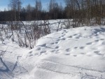 20240219_123452-vo-6-i-bo