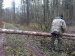 20241109_105931-raschistk