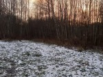 20251116_1623271