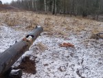 20251222_123556-podkormka