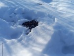 20260309_092314_177417525