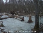 21-imag0024-lo-0-003451-1