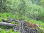 24-05-2023-olen-poya0