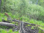 24-05-2023-olen-poyavleni