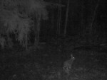 6-imag0139-za-pryzhok-00-