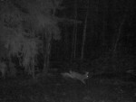 7-imag0139-za-pryzhok-00-