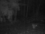 8-imag0139-za-pryzhok-00-
