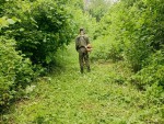 bedf9731