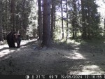 dscf0219-me-0-000600-09-2