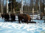 imag0001-mov_snapshot_00-