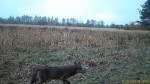 imag0001-vo-000244-16-33-