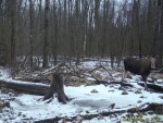 imag0002-lo-0-0004360
