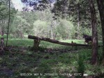 imag0002-lo-samka-i-1