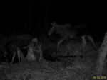 imag0002-lo-samka-i-2