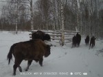 imag0002-zu-6-idut-0-mp4_