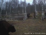 imag0002-zu-dvoe-0-001366