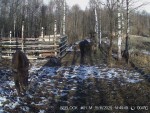 imag0002-zu-dvoe-0-002986