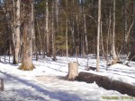 imag0003-ens-0-000001-16-