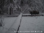 imag0003-lo-samka-i-0