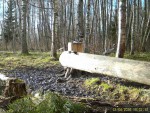 imag0003-seryj-zhuravl-0-