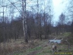 imag0003-vo-000496-09-47-
