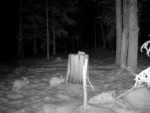 imag0003-zr-2-00-mov_snap