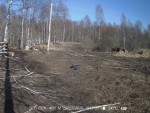 imag0003-zu-3-0-001681-14