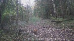 imag0004-li-0-000001-16-3