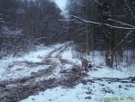 imag0004-ry-samka-00-0000