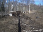 imag0004-zu-3-0-mp4_snaps