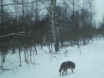 imag0005-vo-1-000076-16-1