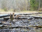 imag0006-ks-samka-0-mov_s