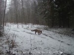 imag0006-li-0-000069-19-5