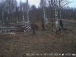 imag0007-vojtenkov-0-0002